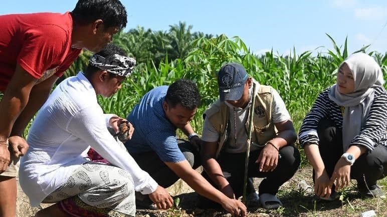 Hijau Lingkunganku, Asri Desaku: Kegiatan Penanaman Pohon di Desa Palongaan, Mamuju Tengah, Sulawesi Barat.